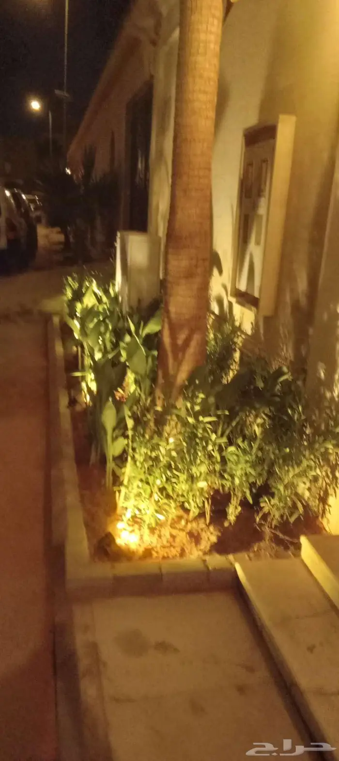 تنسيق حدائق عشب صناعي التيل طبيعي 3