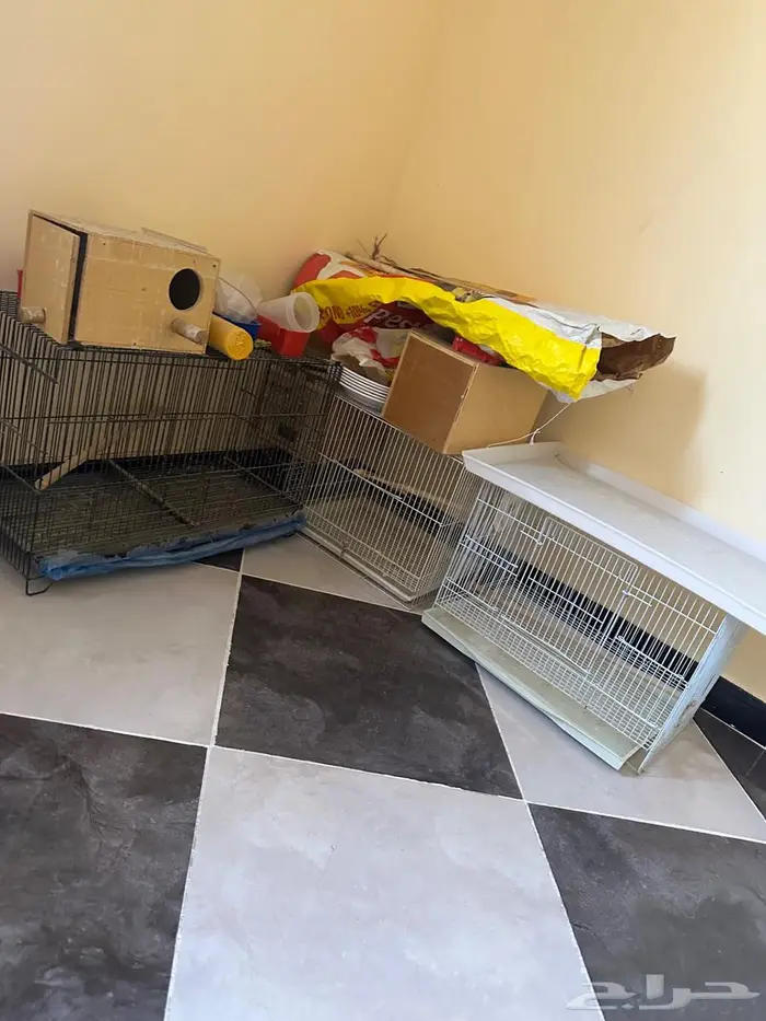 اقفاص للبيع 0