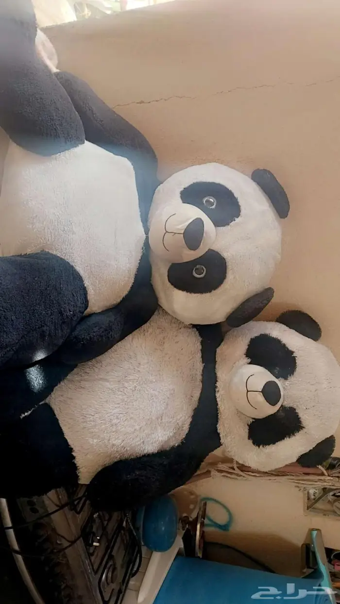 2 دببه 0