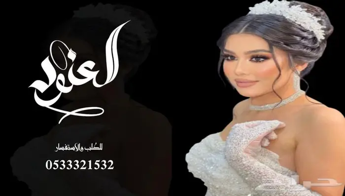 منشد شيلات شاعر جزل 0