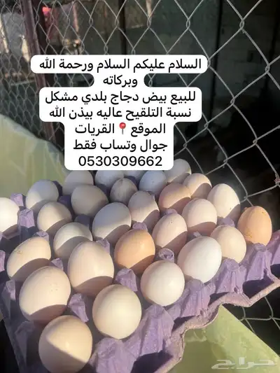 بيض دجاج بلدي 0