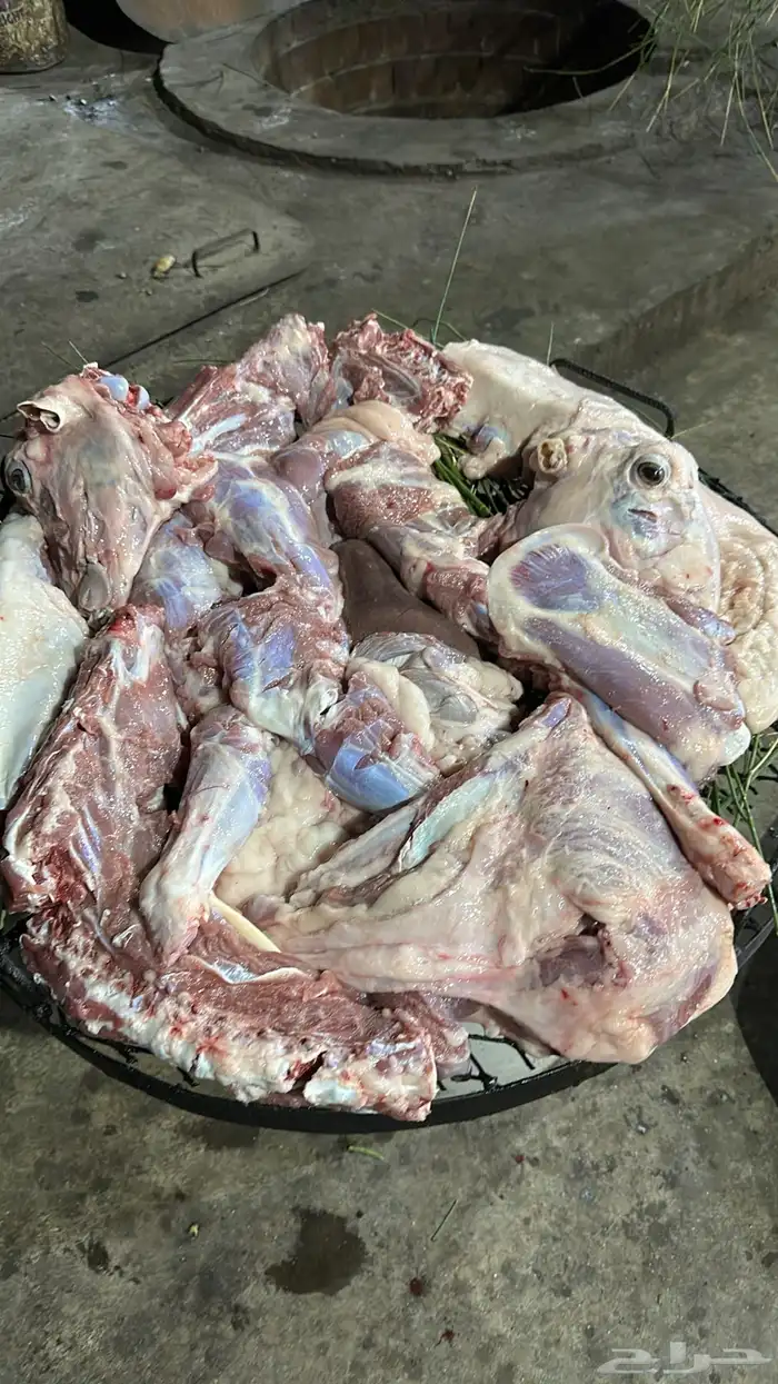 حنيذ ومندي ولحم ني ربع ذبيحه ونص وذبايح كامله ويوجد توصيل 11