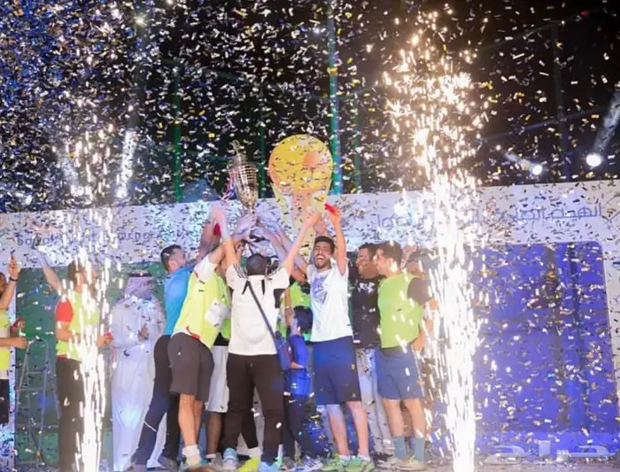 شاشات طوليه استقبال 3