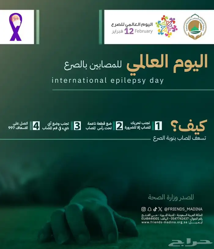 مصممة انفوجرافيك 7