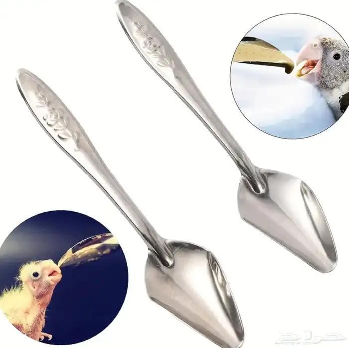 كارنيلوف ومستلزمات قطط 1