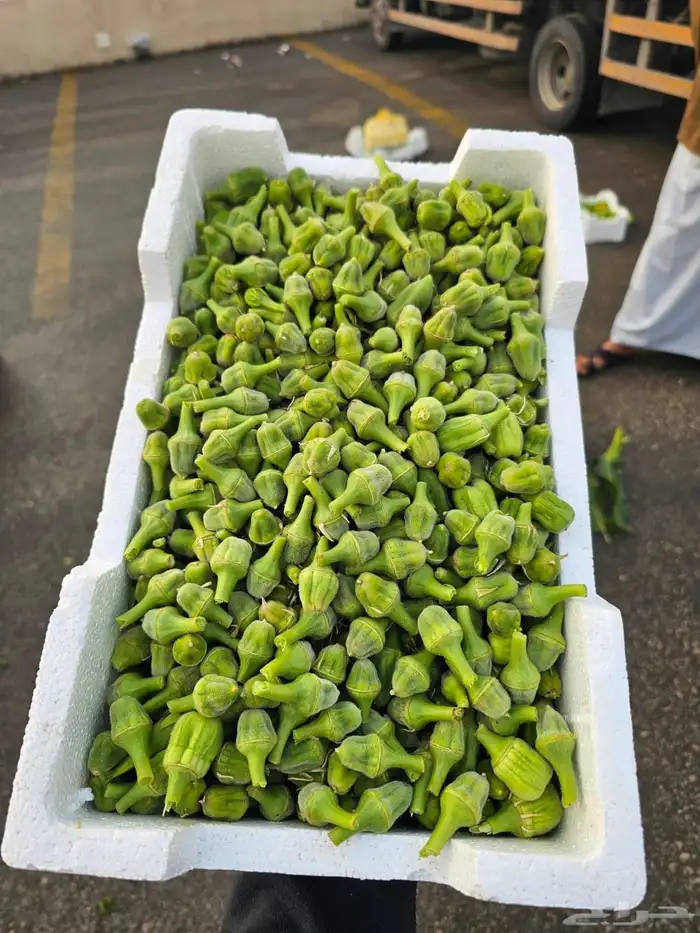 شراء خضار القصيم 0