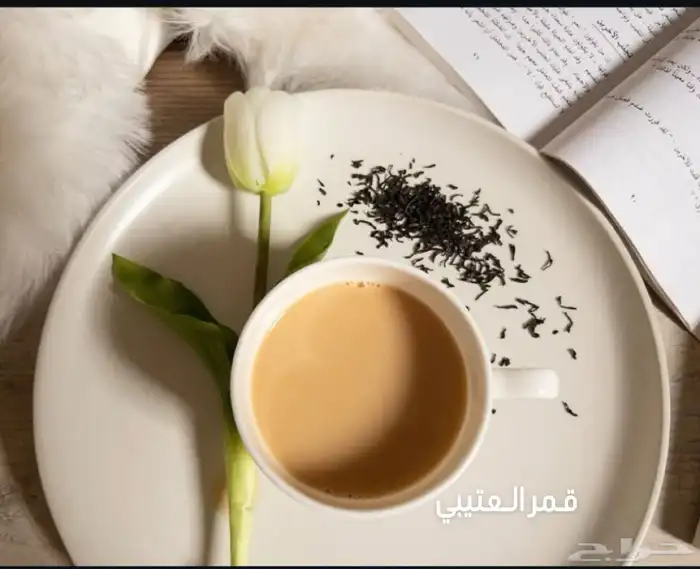 مصوره منتجات واطعمه بأسعار منافسة 1