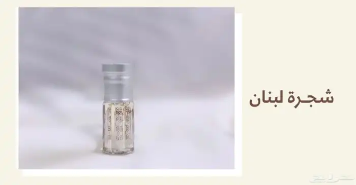 مسك الختام   خلخال   مسك روز   مخلط عود   روز فانيلا 1