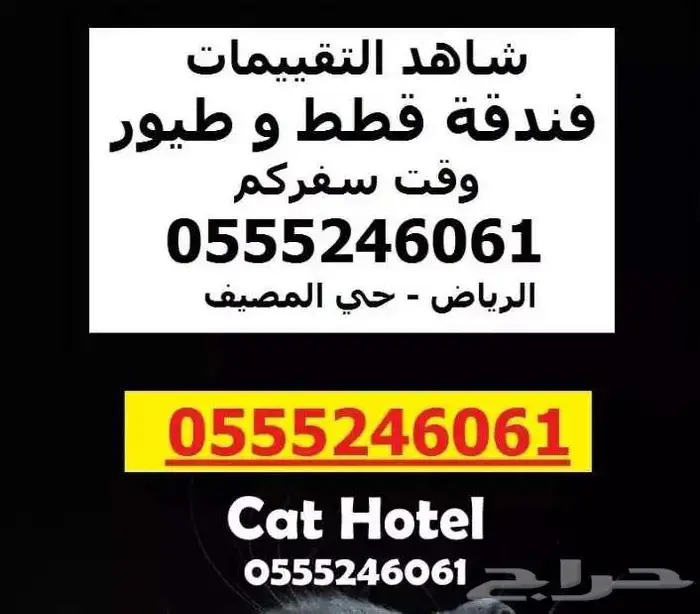 فندقة قطط - مشاهدة التقييمات - 6061 24 0555 الرياض 0