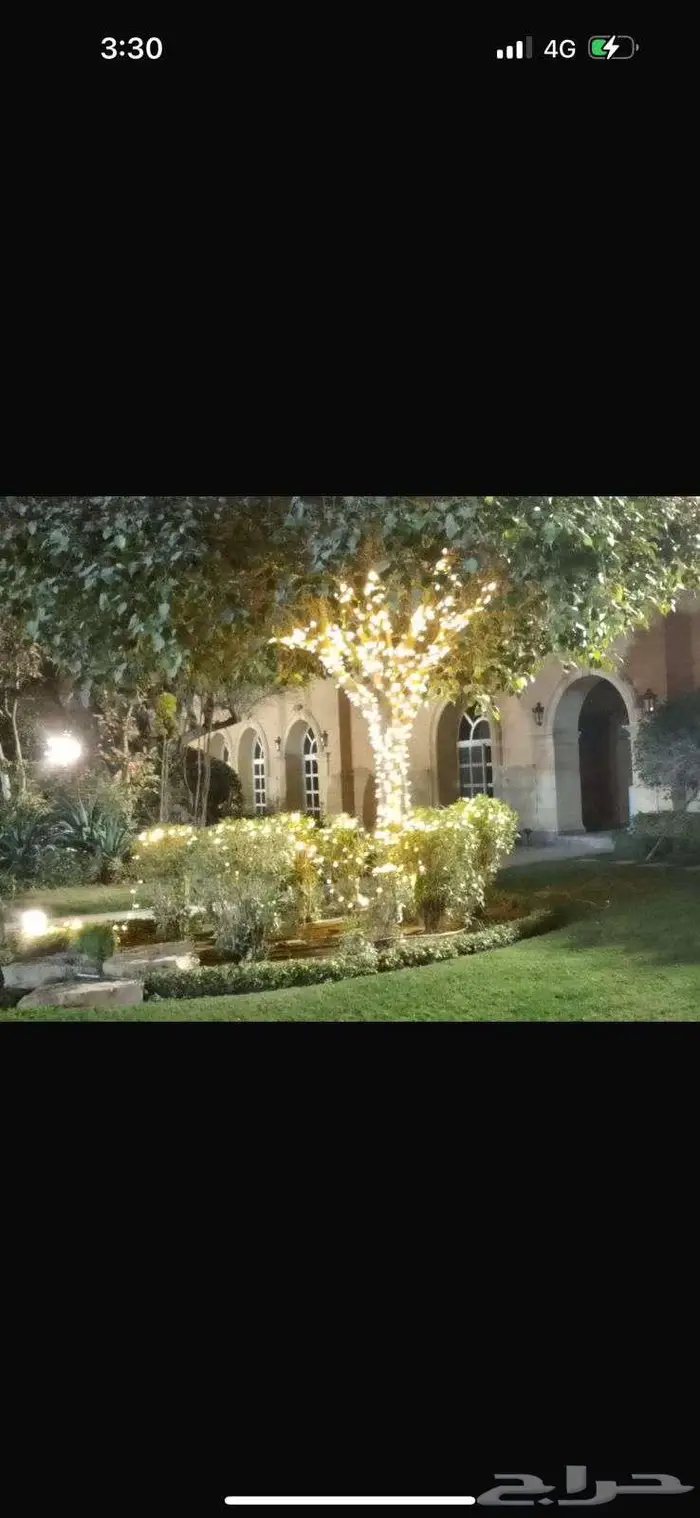 اضاءه نخل وزينه نخل والشجر هلال رمضان 23