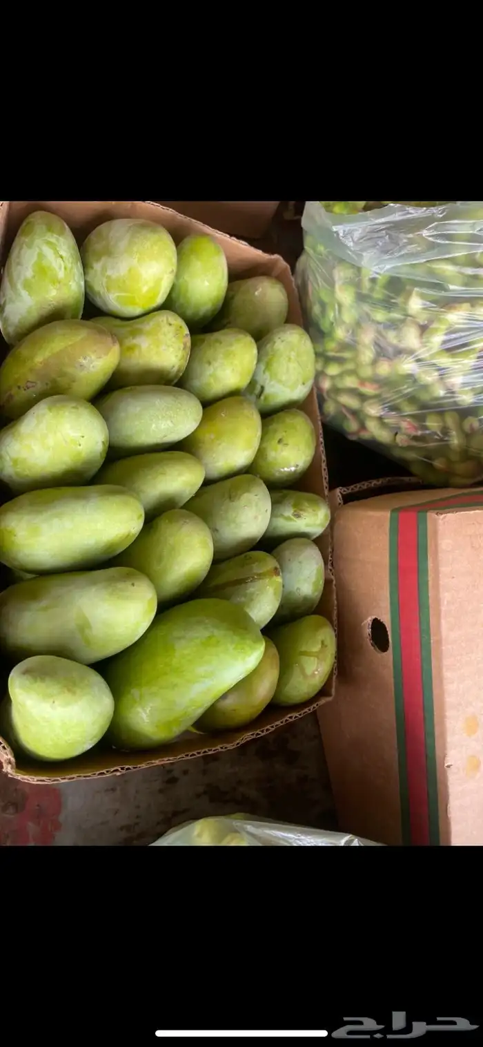 مانجو جازان من المزرعة لباب بيتك 4
