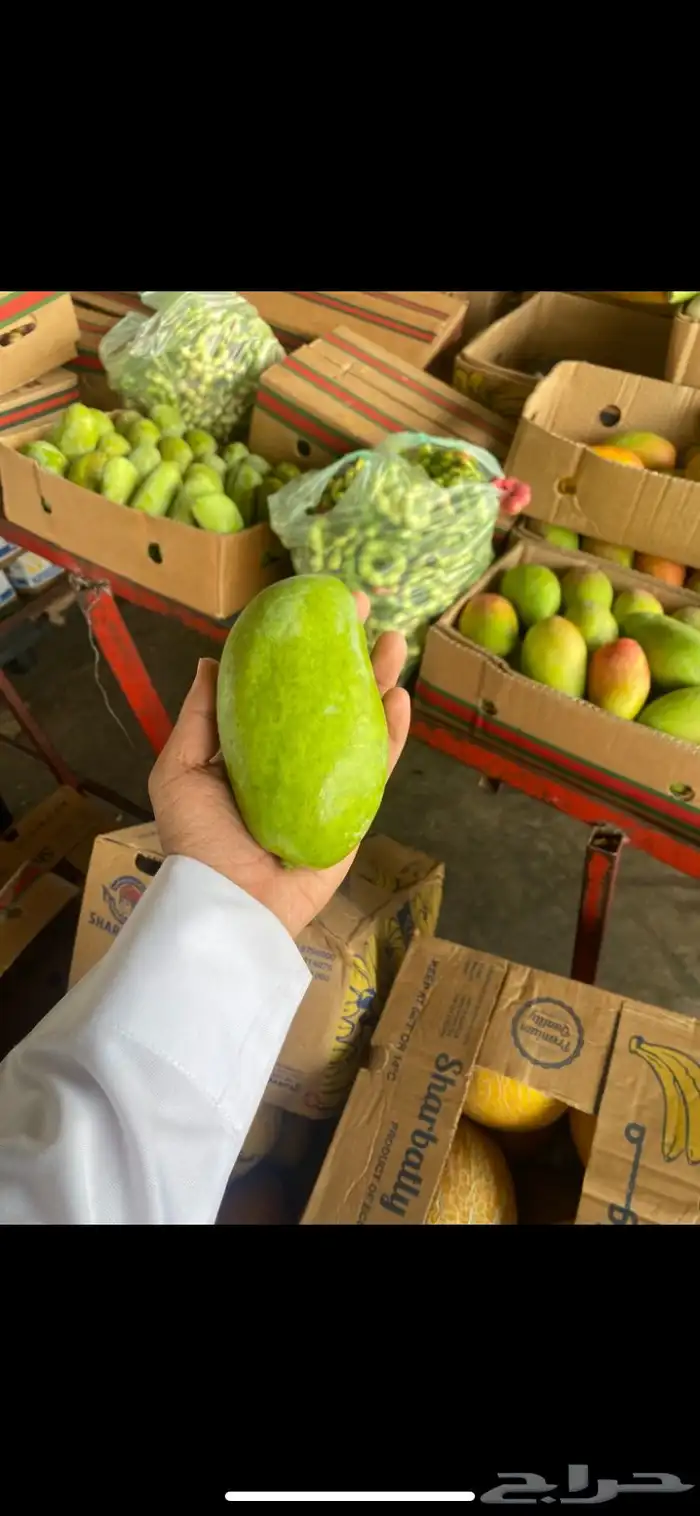 مانجو جازان من المزرعة لباب بيتك 0