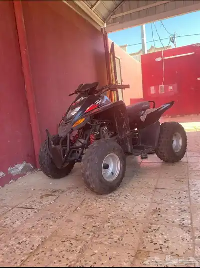 دباب 1