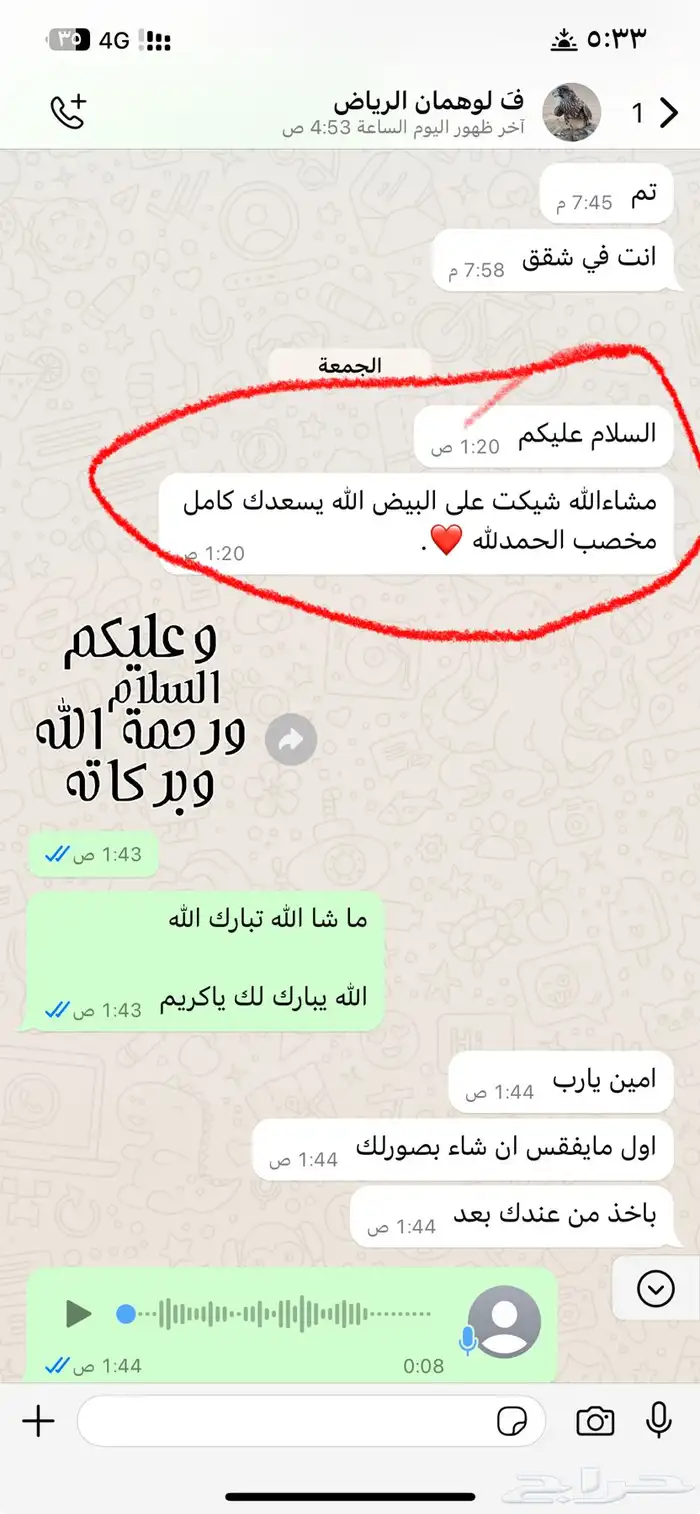 بيض دجاج لوهمان بيور مخصب متوقف البيع حاليا 8