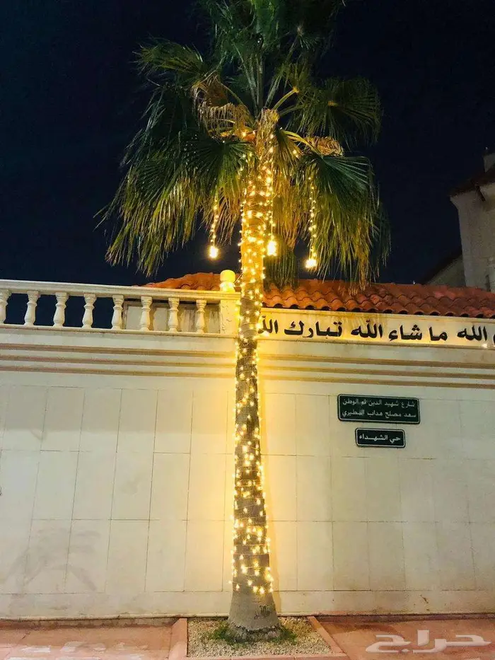 اضاءه نخل وزينه نخل والشجر هلال رمضان 0