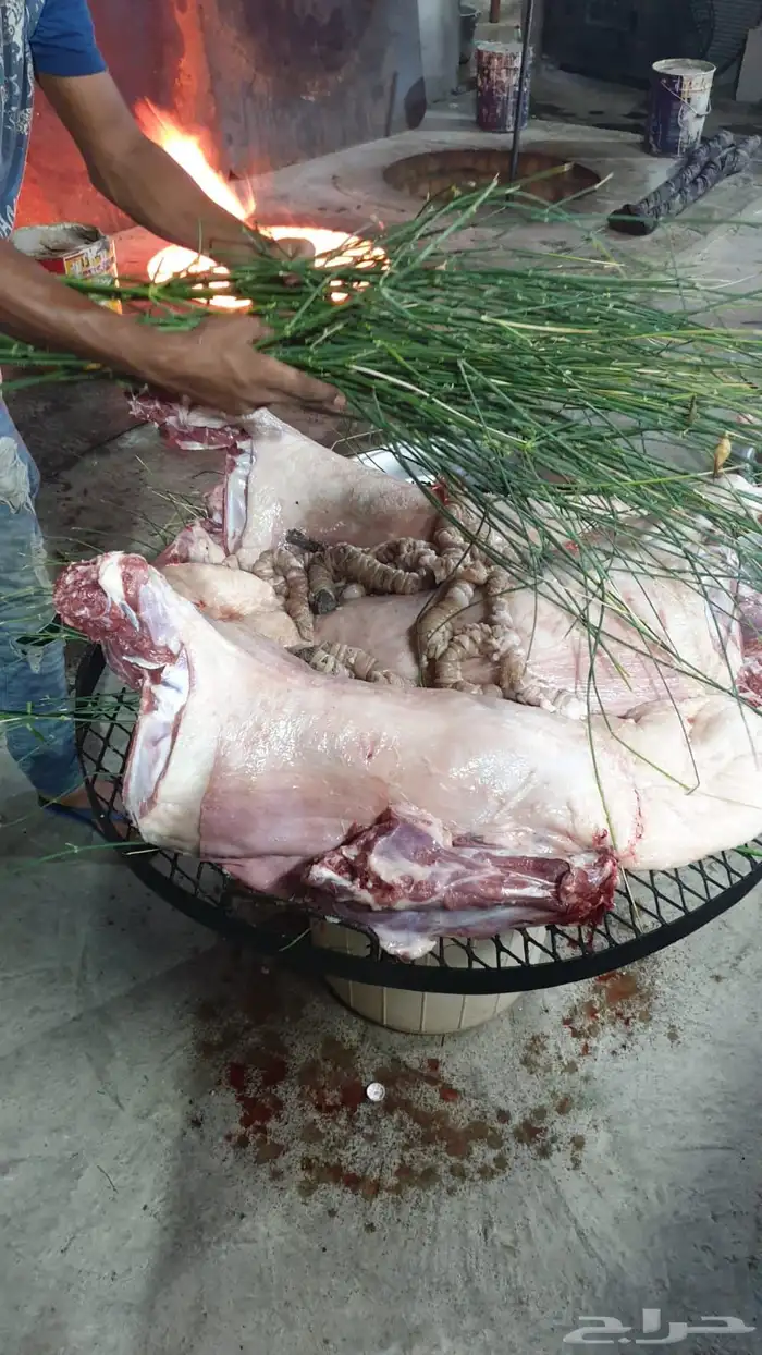حنيذ ومندي ولحم ني ربع ذبيحه ونص وذبايح كامله ويوجد توصيل 17