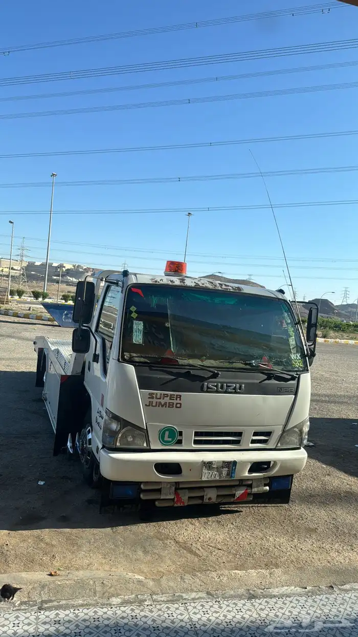 سطحه المظيلف القنفذه المخواة قلوه دوقه 0