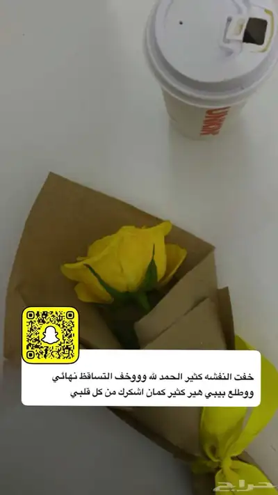 عنايه 2