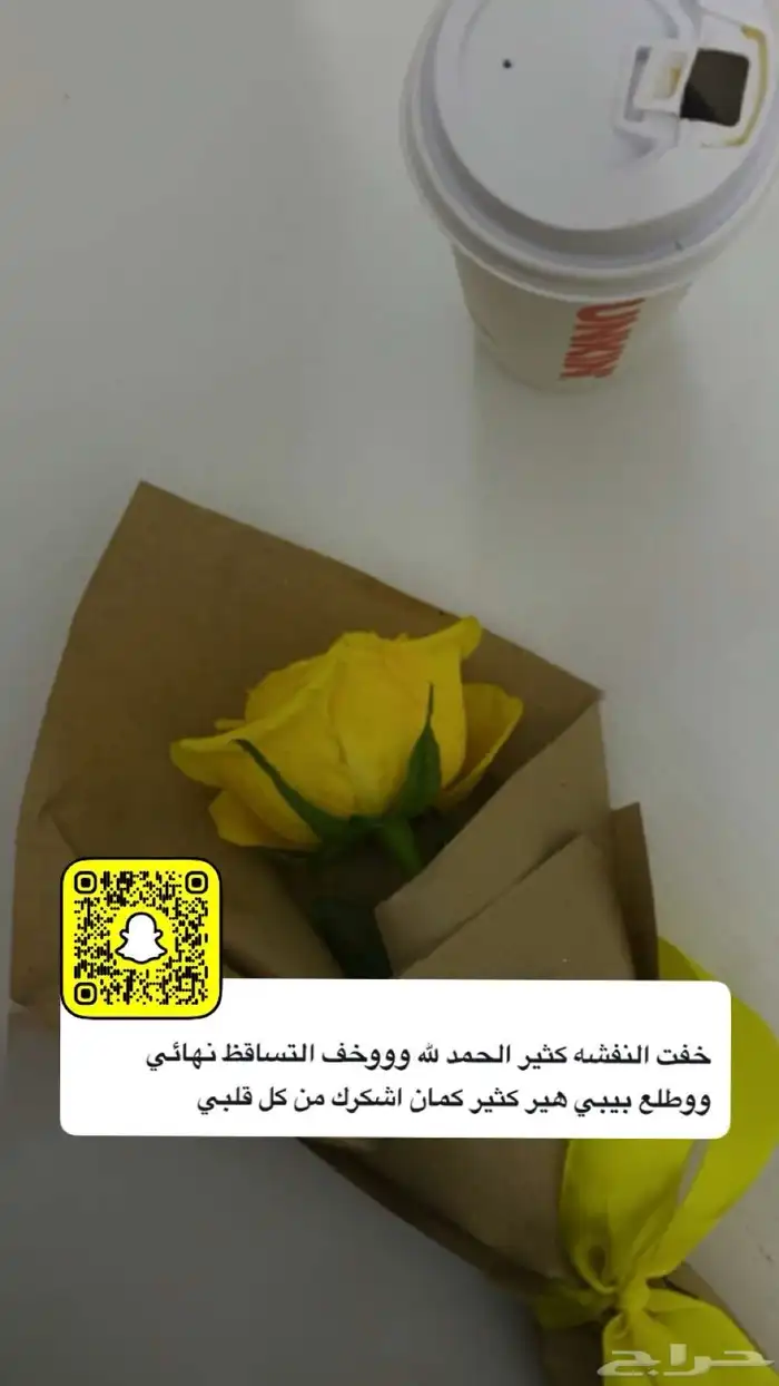 عنايه 2