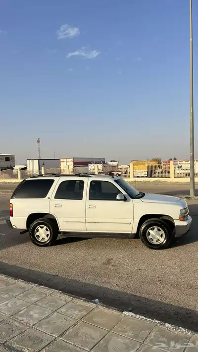 شفر 2005 1