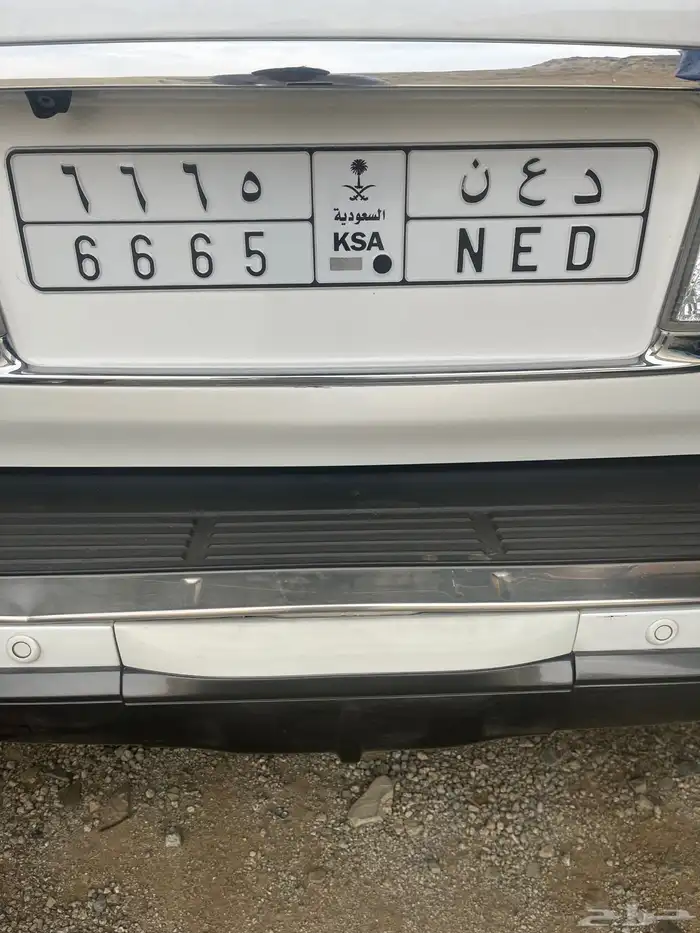 لوحة للبيع د ع ن 6665 0