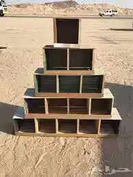 عش بيت حمام دجاج صندقه عشه بياضه مخفق مخافق 14