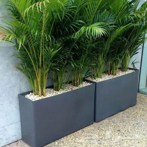 احواض زراعية 2