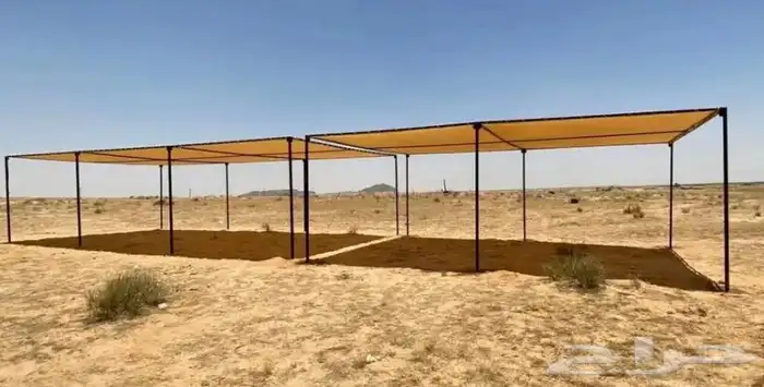 مضلات الإبل 4