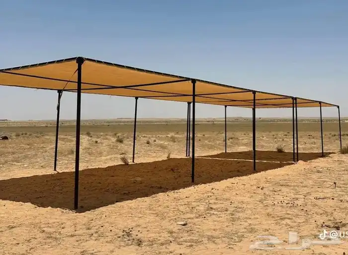 مضلات الإبل 0