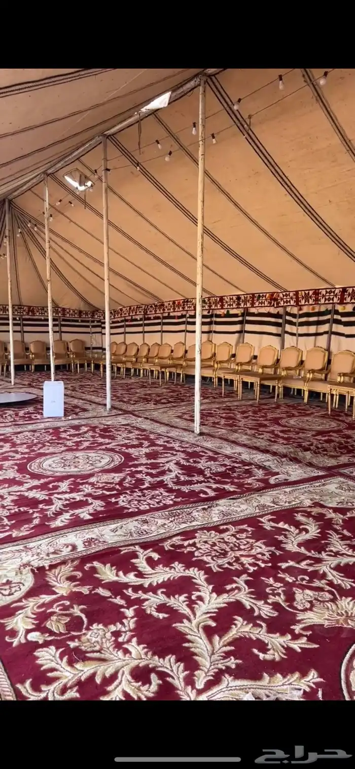 للإيجار كراسي ملكيه فندقيه احمر زل جديد 0