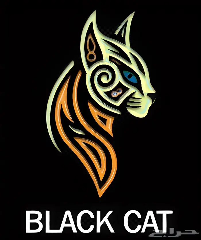 ورشة سمكرة وبوية بأسعار معقولة وجودة ممتازة BLACK CAT 5