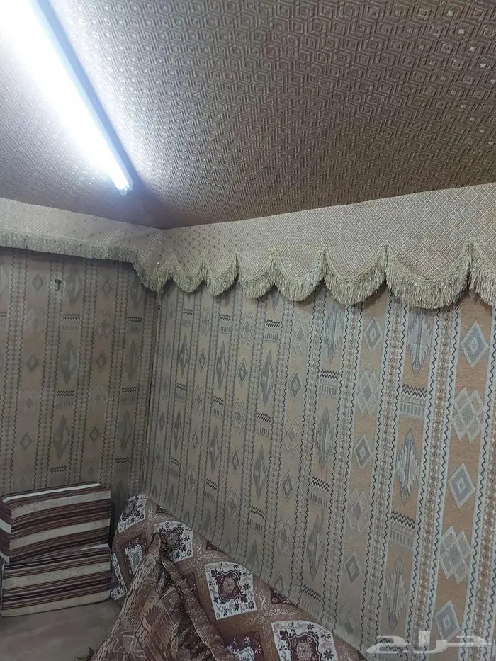 الرياض 6