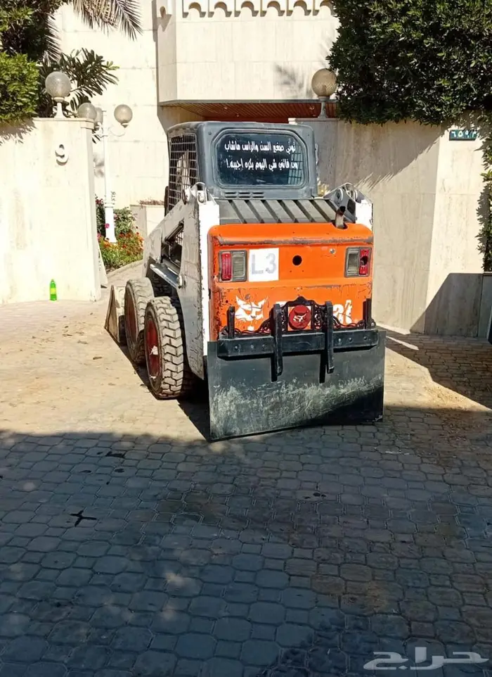 بوب كات للإيجار 2