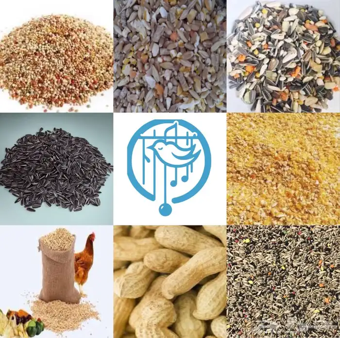 اعلاف اكل طيور حبوب طيور الزينة والببغاء 0