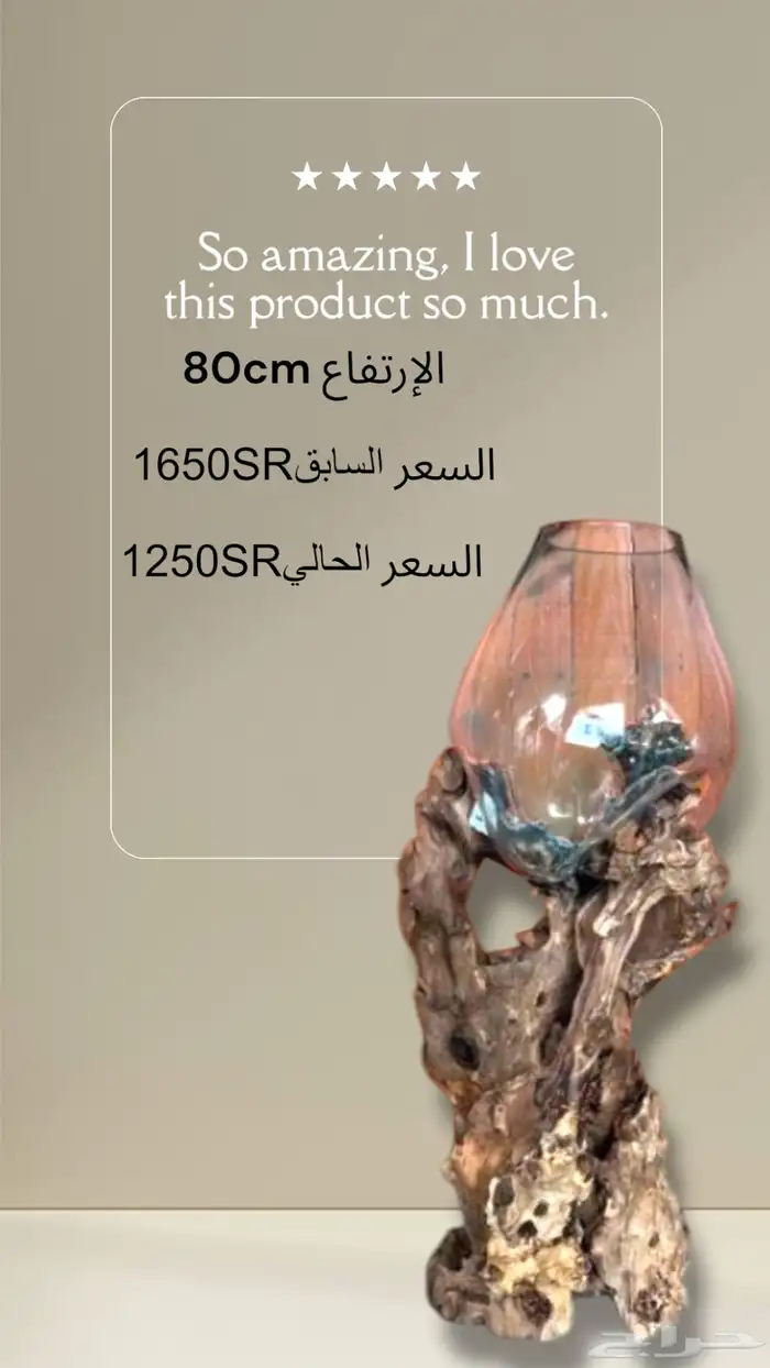 قطع خشبية حوض سمك طبيعي زجاج 17