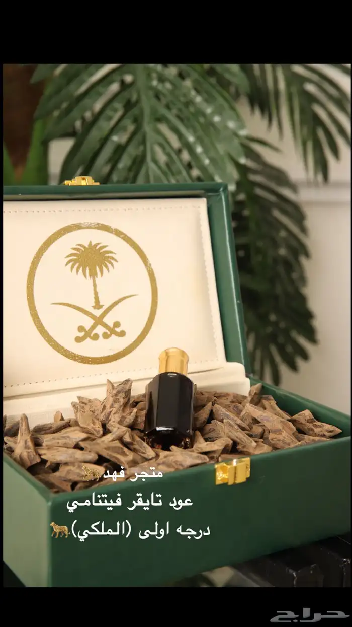 العود الأزرق 2