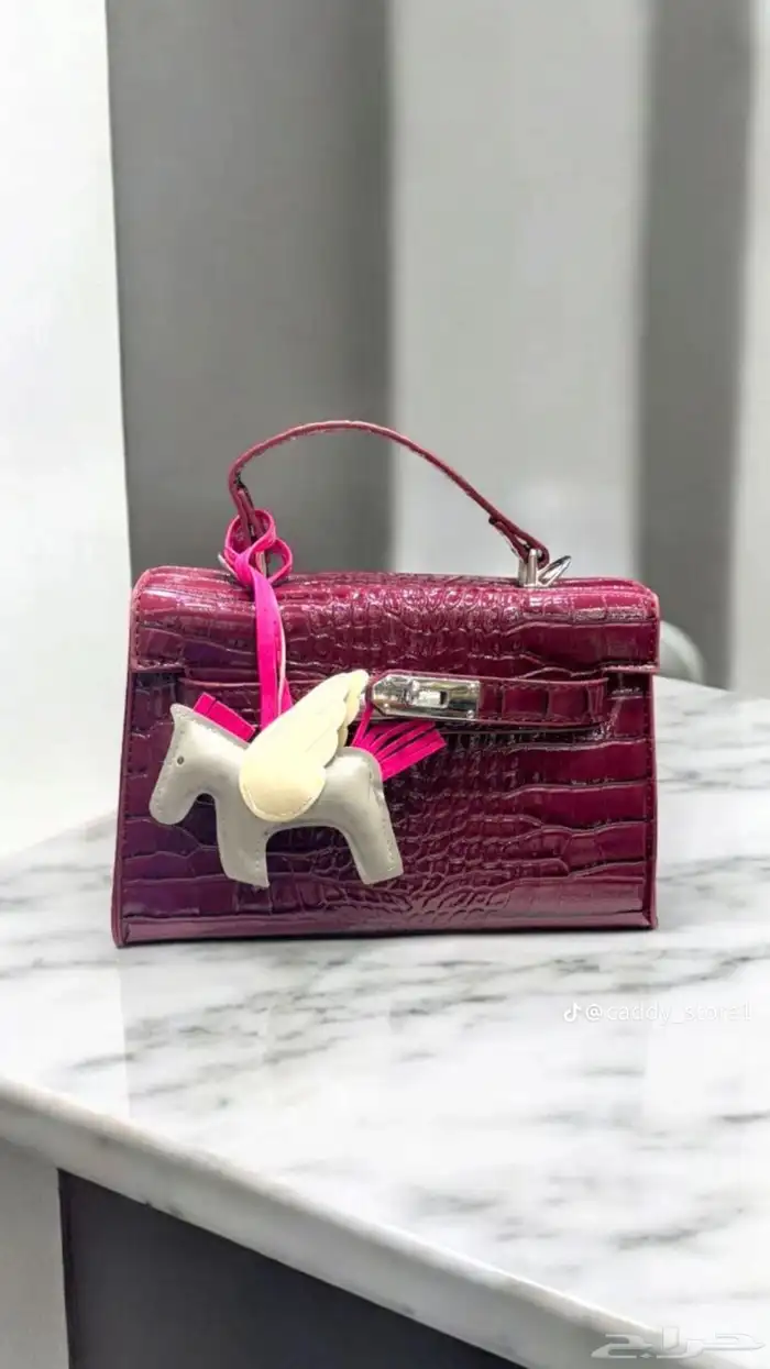 شنط نسائيه جديده وفخمه باقل الأسعار 80 30
