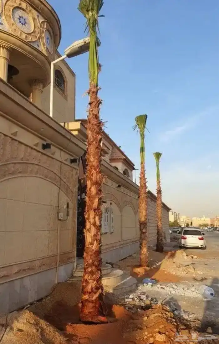 زراعه وحدائق 71