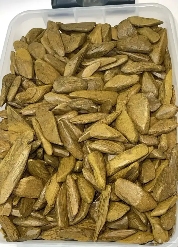 مروكي 0