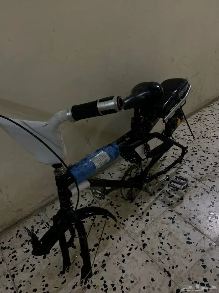 رامبو قطب للبيع اصلي 3