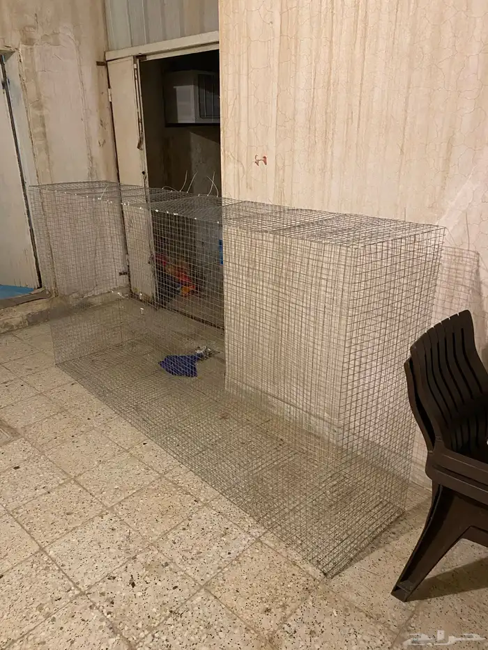 قفص 0