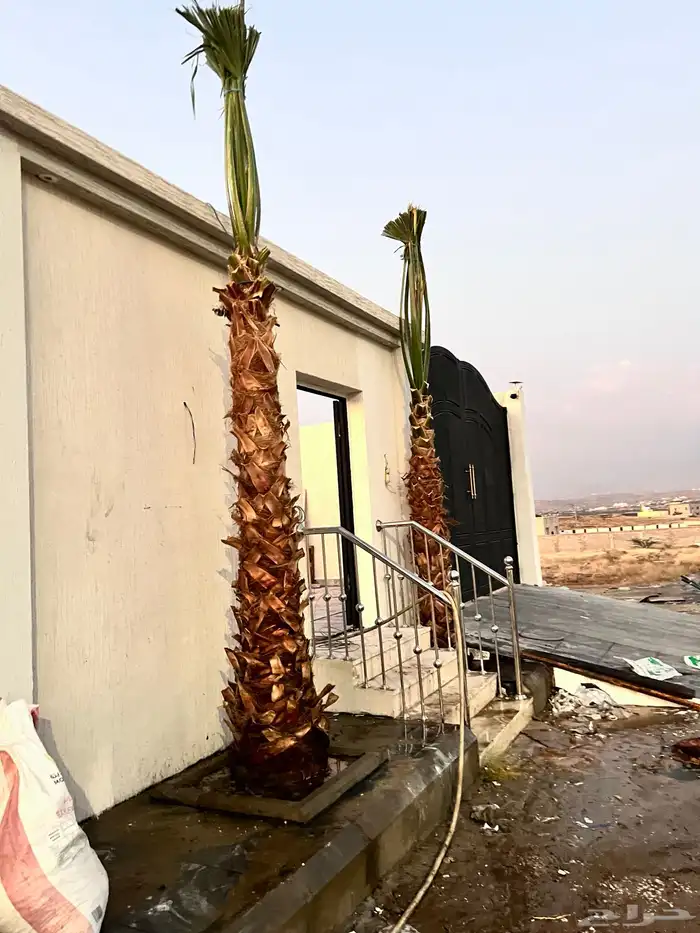 زراعه وحدائق 41