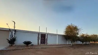 شالية بطريق المدينه 6