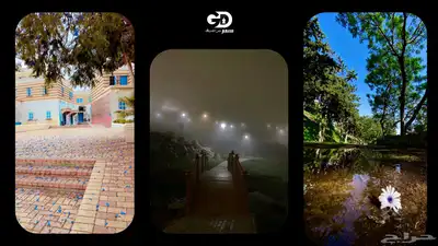 تصميم جرافيك احترافي   مصمم   مونتاج  الخ 17
