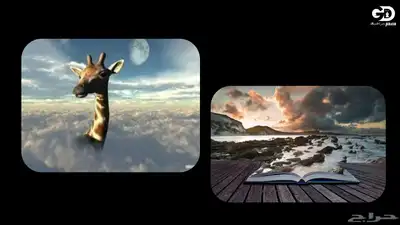 تصميم جرافيك احترافي   مصمم   مونتاج  الخ 13