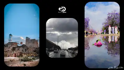 تصميم جرافيك احترافي   مصمم   مونتاج  الخ 19