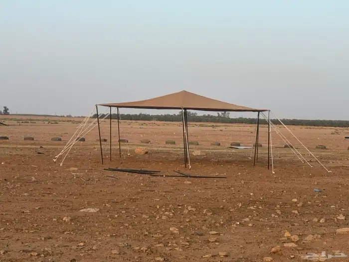 مضلات الحلال جودة عالية 1