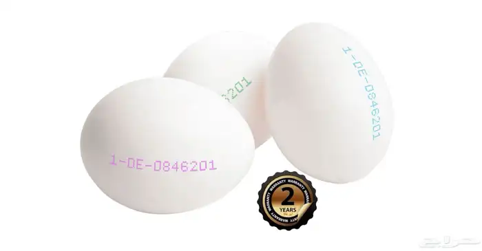 طباعة على البيض 1