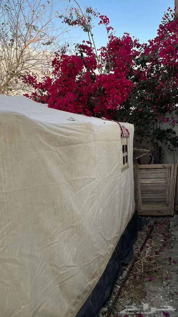 خيمة مبطنة 3 طبقات نظيفه استعمال قليل ضد المطر 2