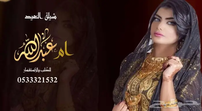 منشد شيلات شاعر جزل 0